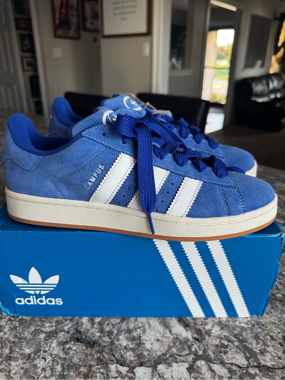 adidas Campus Suede Sneakers in Blue and White
